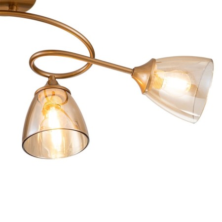 Celosia ceiling lamp E27x60W-3