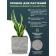 Kashpo for flowers and plants, light charcoal 30x30x30cm, 23l 10702058