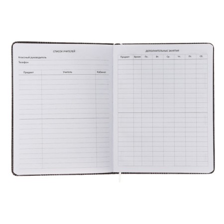 School diary for grade 1-11, Imperial Club on the Grey, solid cover, artificial leather, block 80 g/m2, liesse-5