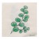Salfets single -layer "eco" eucalyptus 24x24 cm, set of 50 pcs.