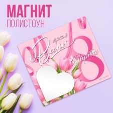Magnet Polymer with a block for the records of 