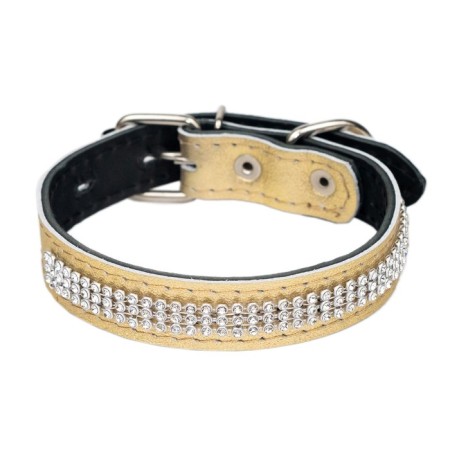The collar of the two-layer leather with rhinestones, width 2 cm, Osh 23-33 cm, gold-1