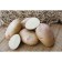 Fritella seed potatoes 2 kg super elite, r/r 28/55