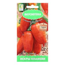 Seed Tomates 