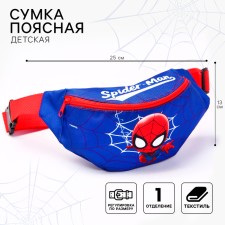 Barry Bag, 25x6x13 cm, with lightning, spider-man