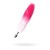 White-pink tail