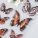 Plastic sticker 3D "Butterflies" mix 15x27 cm