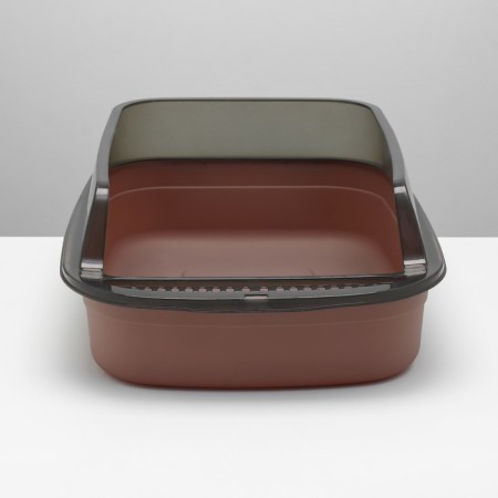 Toilet with transparent sides with a scoop and filter, 50 x 34 x 18 cm, brown-5