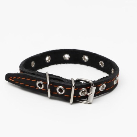 Collar leather single-layer, dimensionless, 37 x 1.5 cm, Osh 21-32 cm, black-1