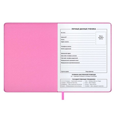 School diary for grades 1-11 pink, solid cover with foam rubber, artificial leather, applique, silkography, liesse, 48 sheets, universal cheat sheet, block 80g/m2-3