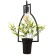 Bayerlux lamp "Obacoo" Black 1x40W E27 12x34x48 cm