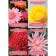 Floral therapy magic. (44 cards + brochure). Virche D. RIVS R.