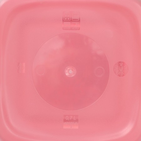 A set of containers for freezing products "Morozko", 3 pcs, 700 ml, color mix-3