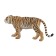 Figure Konik "Bengal Tiger"