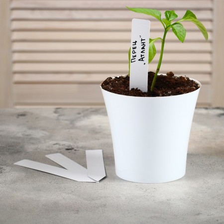 Garden tags for marking, 15 cm, set 10 pcs., Plastic, white, Greengo-6