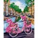 Picture on numbers on canvas with a subframe of “Bicycle in Amsterdam”, 40 x 50 cm
