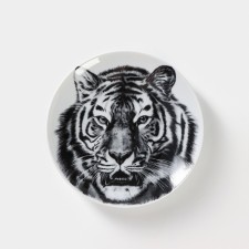 Porcelain plate 