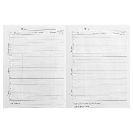 Diary for grades 1-4, "Anime. Little Girl", solid cover 7BC, glossy lamination, 48 sheets-6