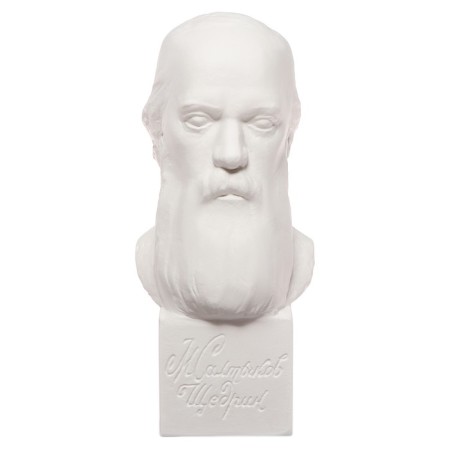 Gypsum figure famous people: Bust Saltykov-Shchedrin 20*9.5*10.5 10-195-7