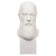 Gypsum figure famous people: Bust Saltykov-Shchedrin 20*9.5*10.5 10-195