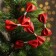 New Year's decor for the Christmas tree "Bows" set of 5 pcs., Mix color