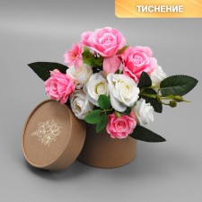 CRAPHT HEART CHILDRENT, packaging, 
