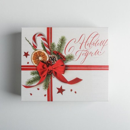 Packaging for confectionery "New Year's Balt", 20 x 17 x 6 cm, New Year-2