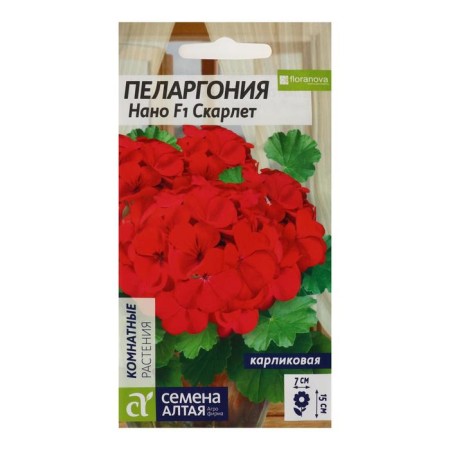 Flower seeds Pelargonium "Nano", "Scarlet", 3 pcs