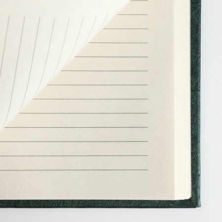 Deliciper of Leduced A5, 160 liters. Solid cover. Leatherette. Green. Cream block-8