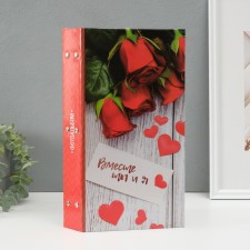 Photo album in 300 photos 10x15 cm 