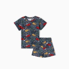 A set of a home -made boy (T -shirt/shorts) 