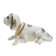 Dog on a car panel shocking his head, large, white color