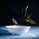 Plate porcelain deep shade White Label, 350 ml, d = 15 cm, white color