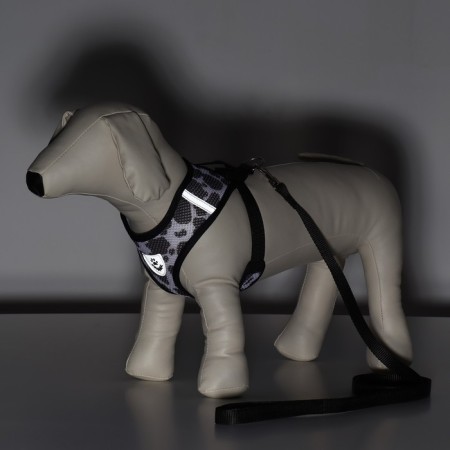 A set for dogs 5-8 kg, size m, leash 120 x 1.5 cm, osh 30 cm, og 39 cm-9