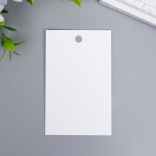 Бирка без печати 8х5 см