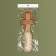 Massage comb “SWAR”, 5 × 23 cm, color “Light Wood”