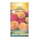 Flowers of Astra Puptore Siring Autumn Blues, 8 pcs