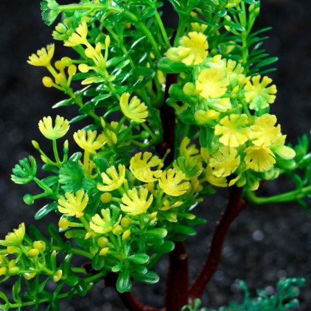Artificial aquarium plant, 15 cm, green-1