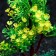 Artificial aquarium plant, 15 cm, green