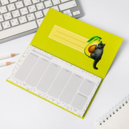 Mininer glider Cat’s Planner-4