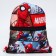 A bag for shoes with a pocket, 28x37 cm, Spider-Man