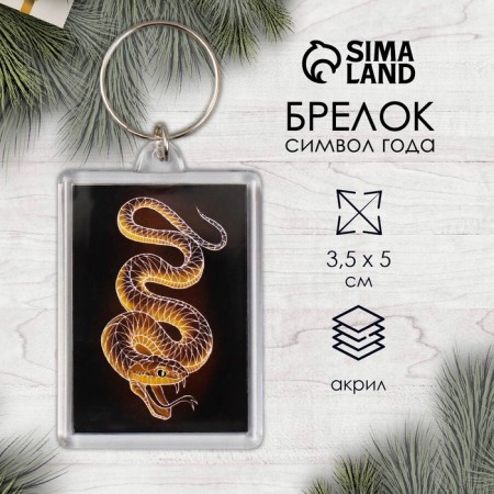 Acryl keychain "Snake. Linius" 3.5x5 cm