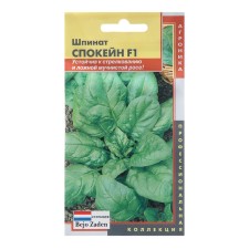 Spoque spinach seeds F1