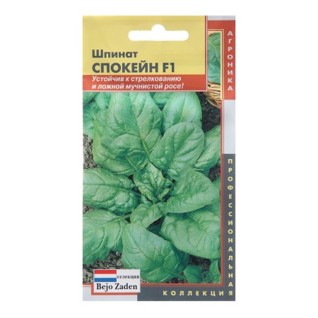 Spoque spinach seeds F1