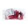 Czech Republic "Gamma" Round "4" 10/0 5g (D153 raspberry/pearl)