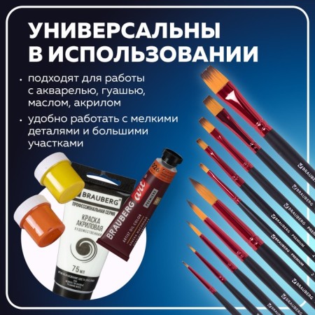 System of synthetics 10 pieces, Brauberg Premium, round No. 1, 2, 3, 5, 8; Flat No. 2, 4, 6, 8, 10-18