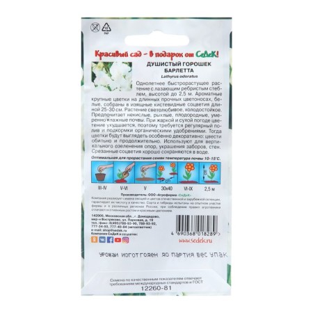 Flower seeds fragrant peas "Barletta", Euro, 1 g-1
