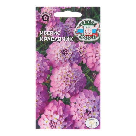 Flower seeds Iberis "handsome", euro, 0.2 g