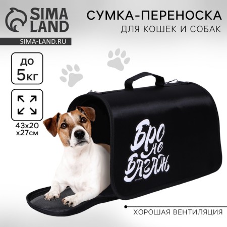 Bag - folding folding "bro not baggage" 43x27x20 cm