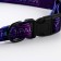 The My Space set, fastener - fastx, leash 2 m and collar 28-46 cm